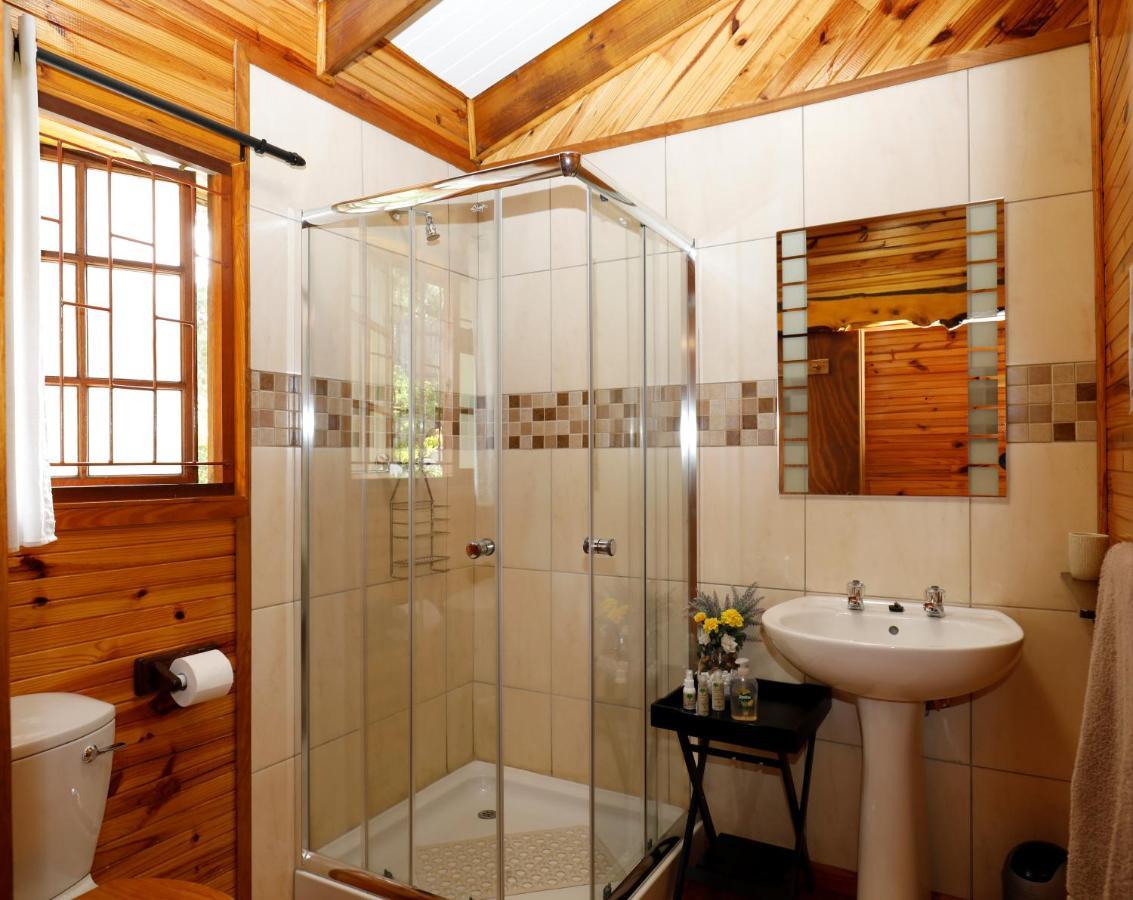 Big Tree House Lodge Knysna Zewnętrze zdjęcie