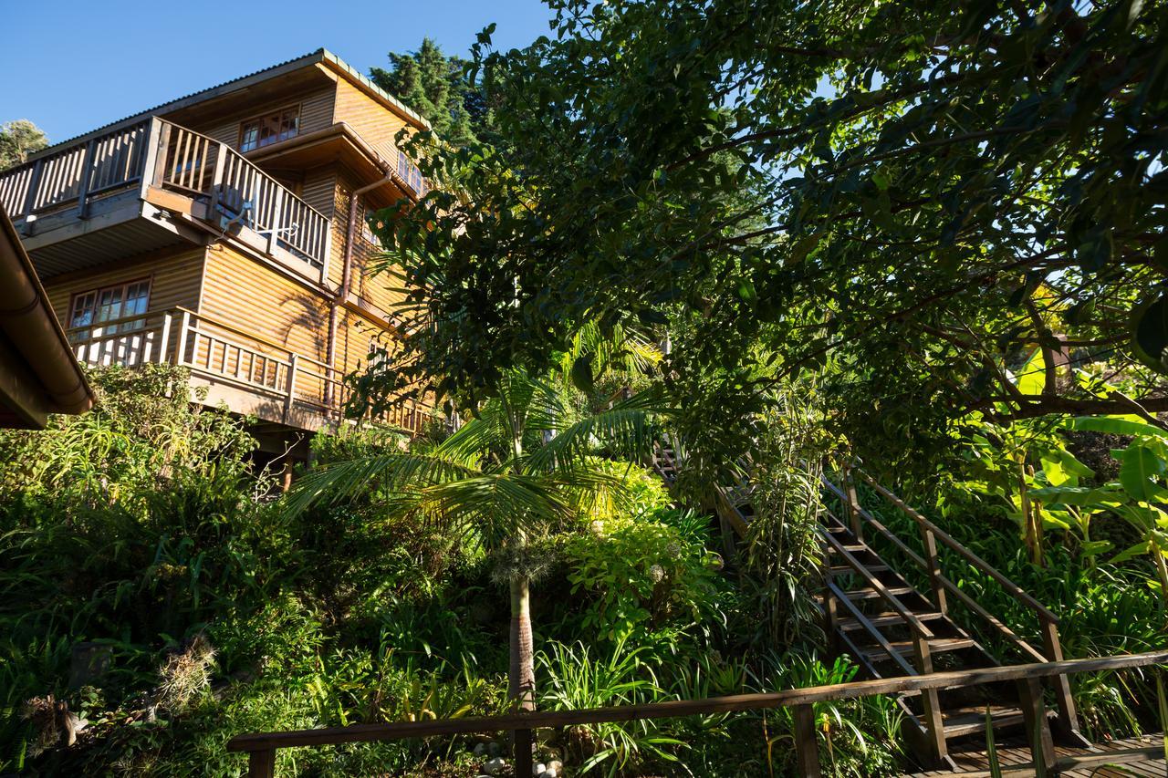Big Tree House Lodge Knysna Zewnętrze zdjęcie