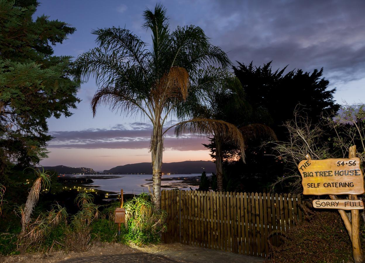 Big Tree House Lodge Knysna Zewnętrze zdjęcie