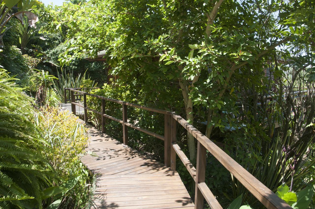 Big Tree House Lodge Knysna Zewnętrze zdjęcie