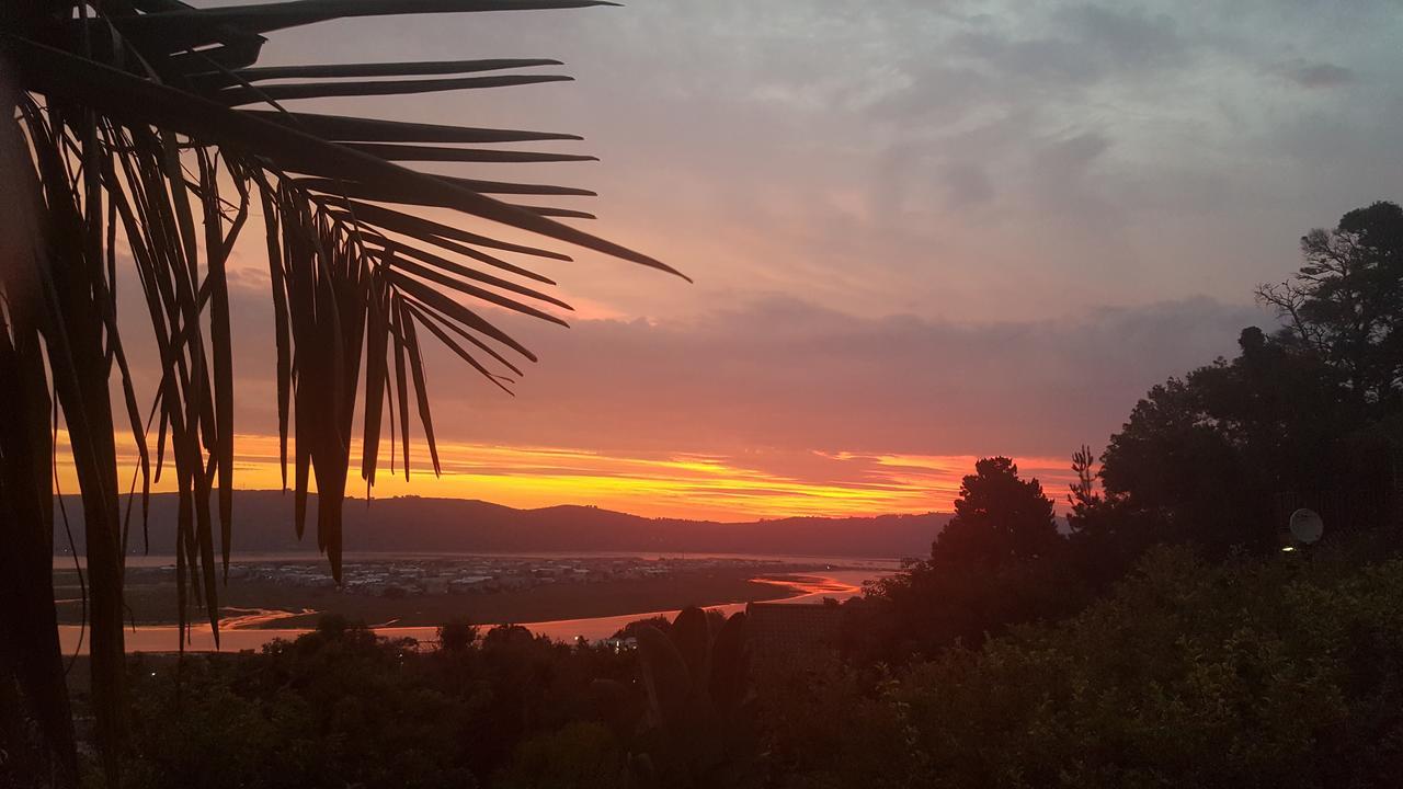 Big Tree House Lodge Knysna Zewnętrze zdjęcie