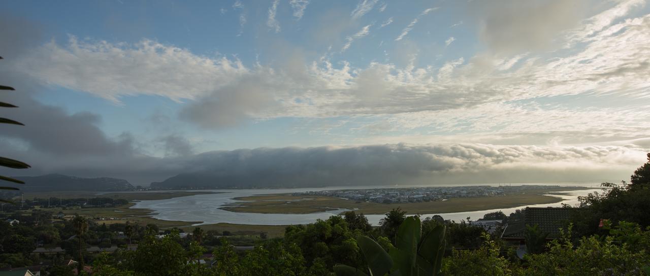 Big Tree House Lodge Knysna Zewnętrze zdjęcie