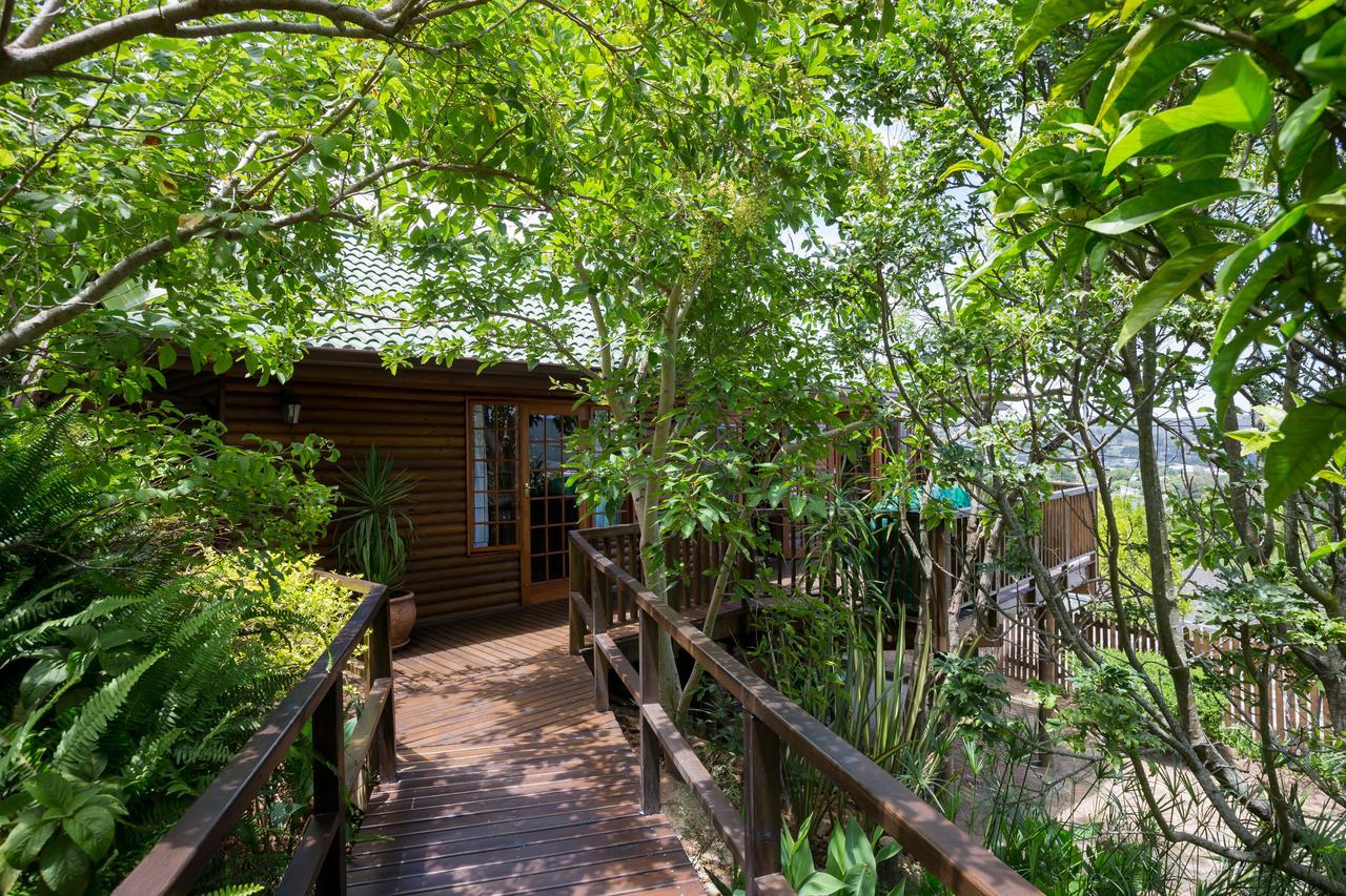 Big Tree House Lodge Knysna Zewnętrze zdjęcie