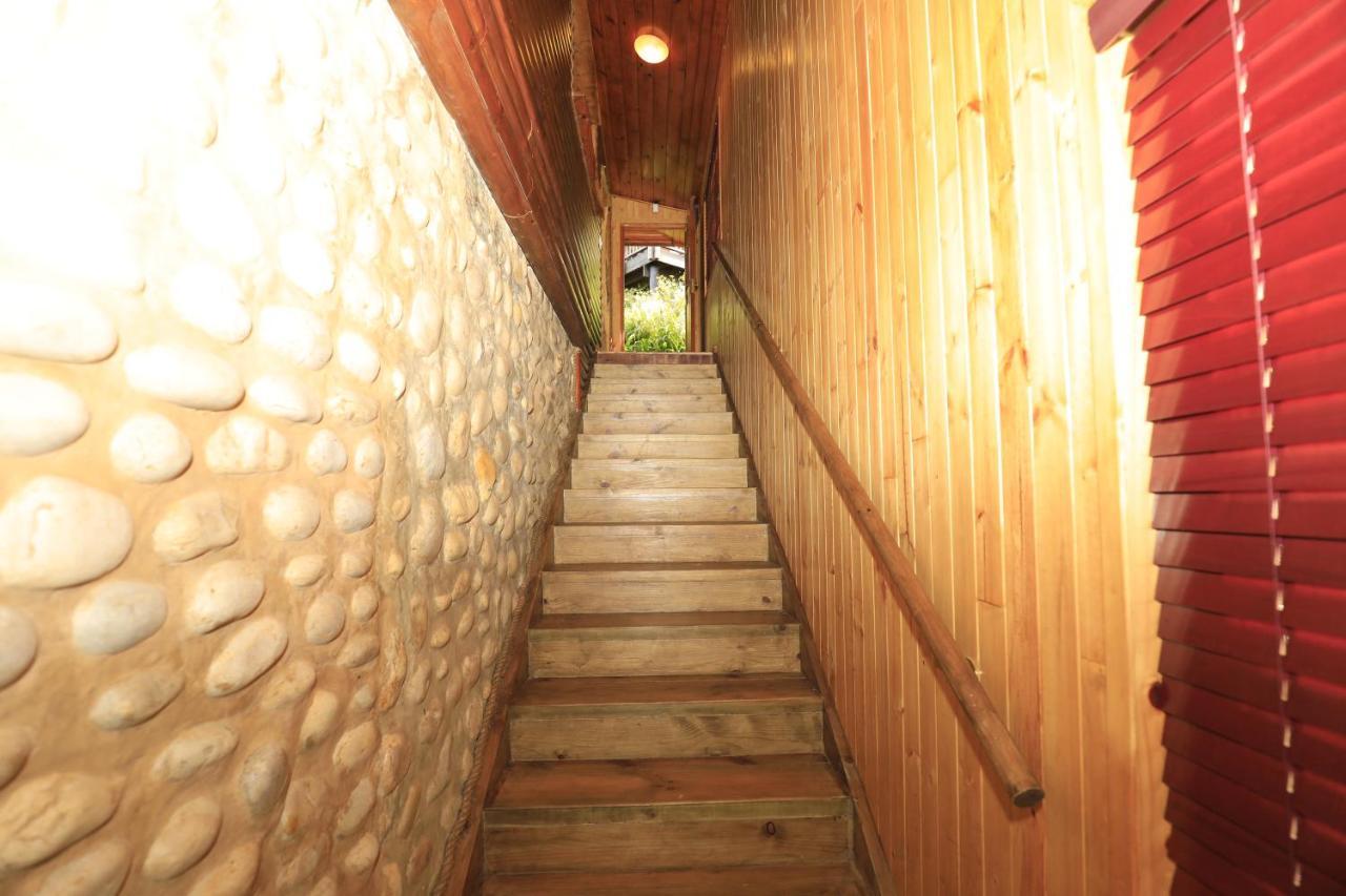 Big Tree House Lodge Knysna Zewnętrze zdjęcie