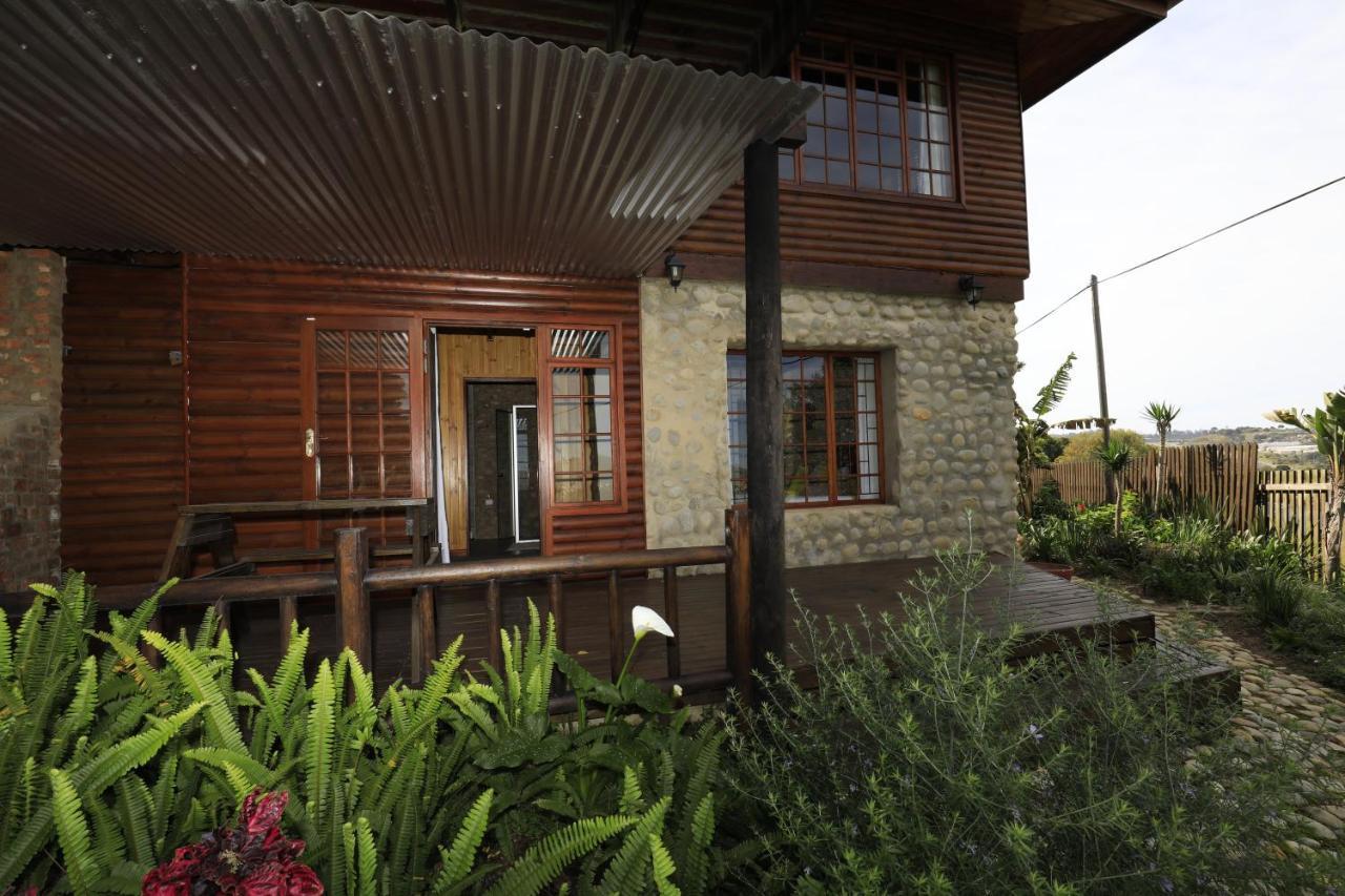 Big Tree House Lodge Knysna Zewnętrze zdjęcie