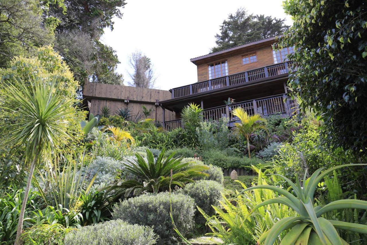 Big Tree House Lodge Knysna Zewnętrze zdjęcie