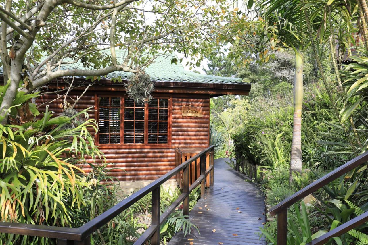 Big Tree House Lodge Knysna Zewnętrze zdjęcie