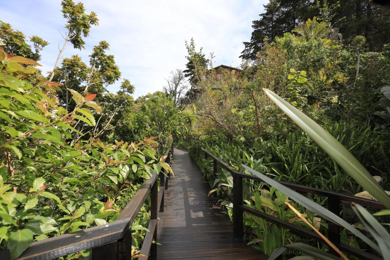 Big Tree House Lodge Knysna Zewnętrze zdjęcie